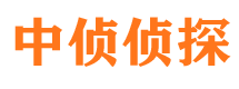 渑池市私人侦探